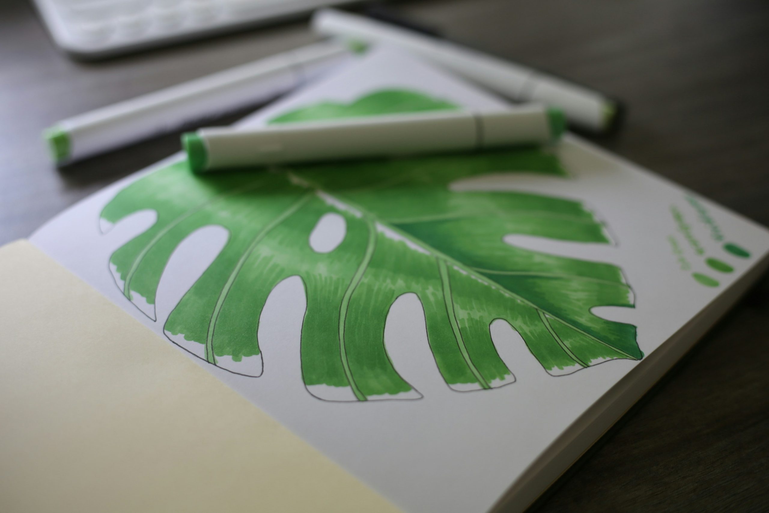 Best Sketchbooks for Alcohol Markers in 2026: No Bleed, No Regrets